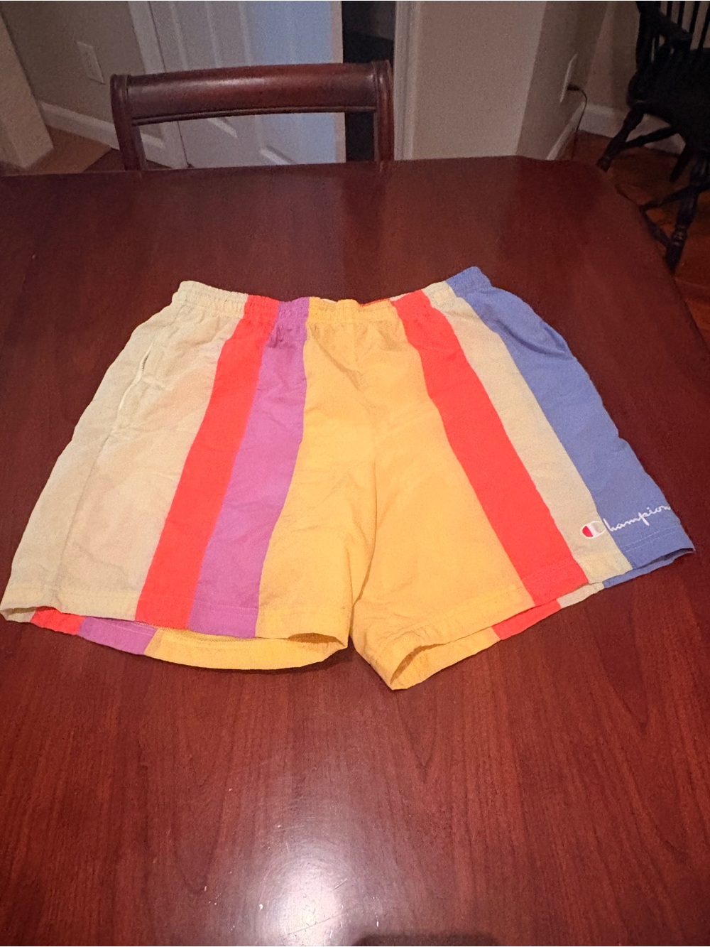 Champion Men's Multicolor Striped Bathing Suit or Athletic Shorts
